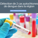 Détection De 2 Cas Autochtones De Dengue (commune De Boulbon)